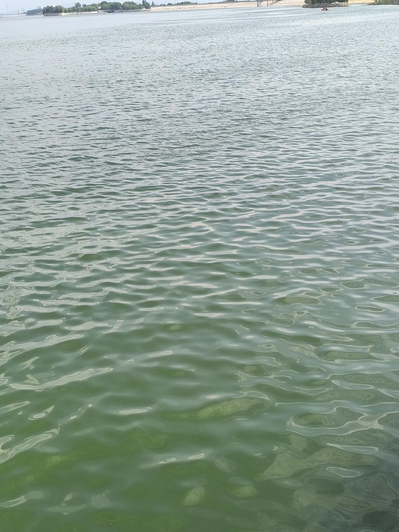 拍摄于泰安天颐湖