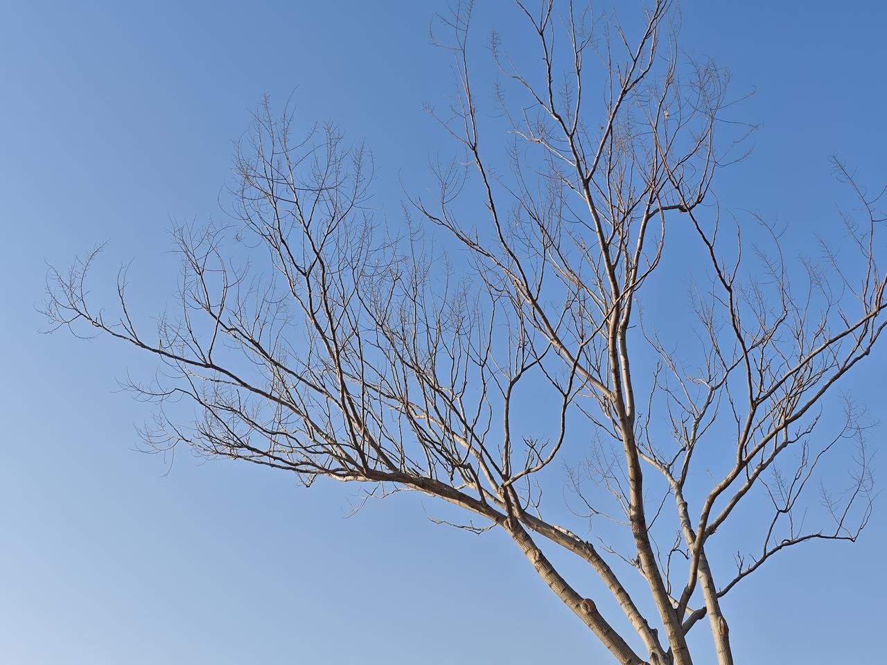 所谓气顺，即能咽下委屈，亦能撑起格局。
我从前是个极为强势的女人，自认为能力出众