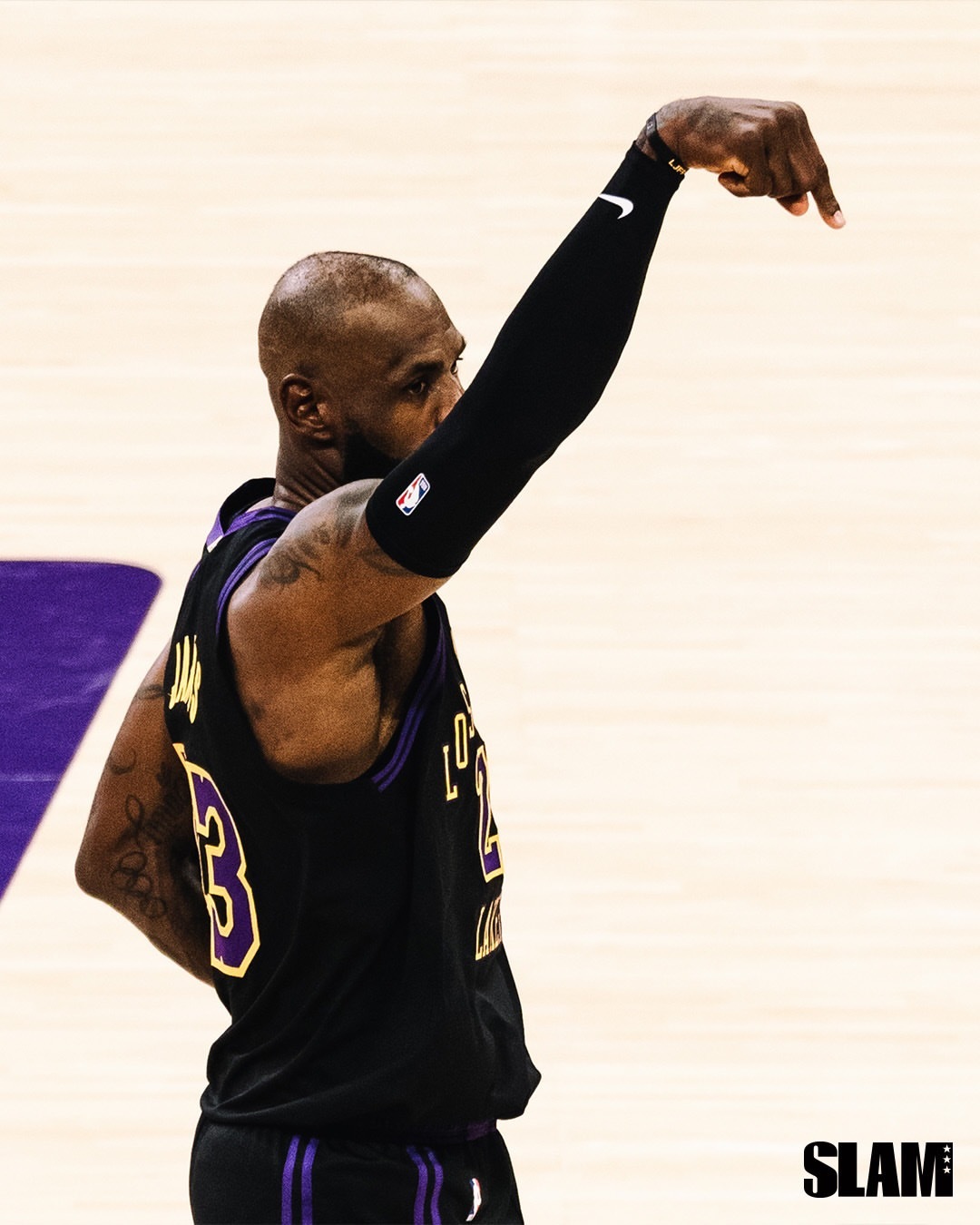 NBA LeBron James 