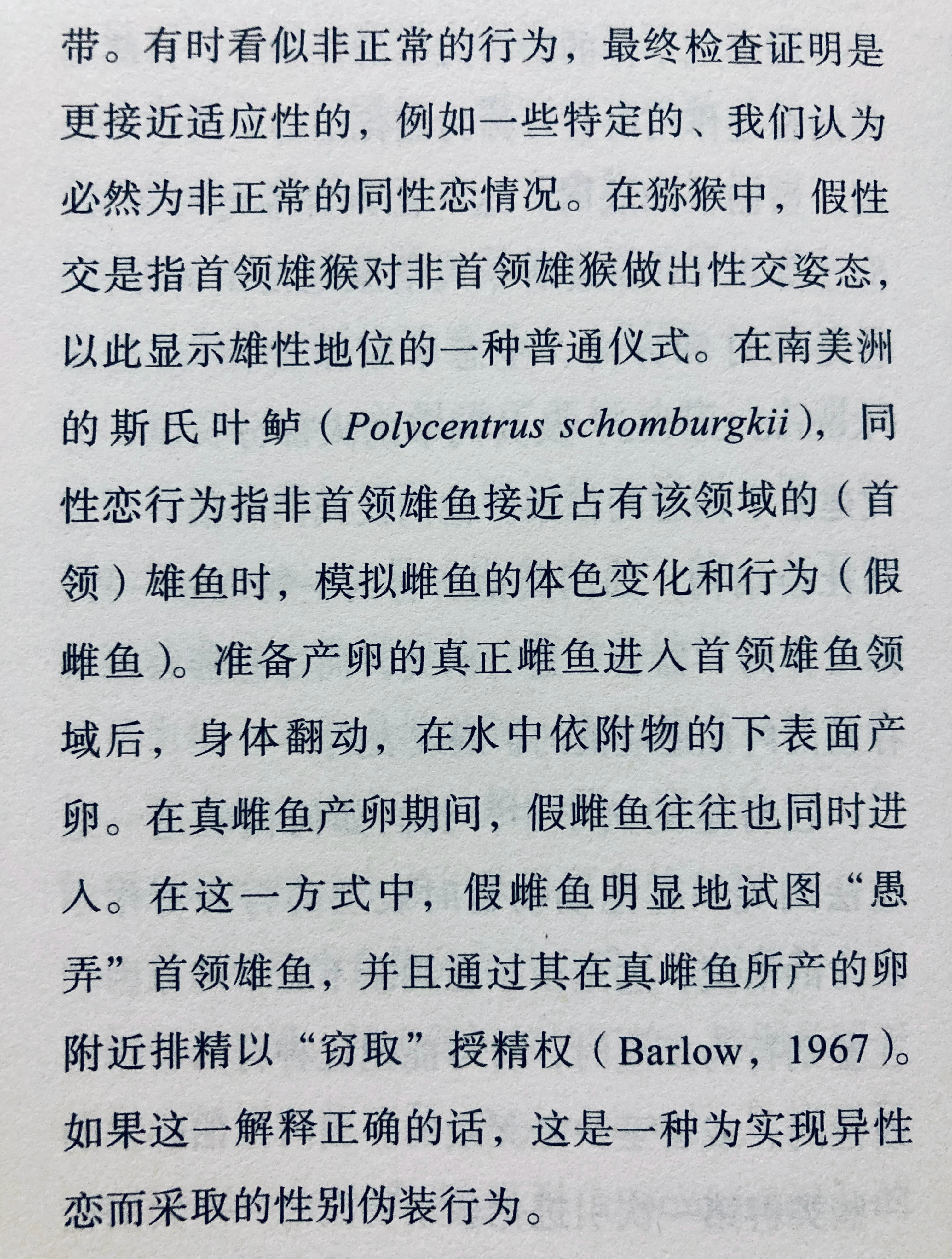 隔壁老王会女装，防不胜防[流鼻血] ​​​