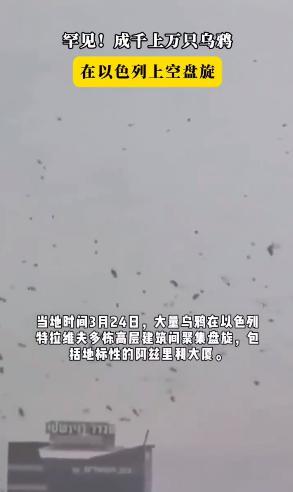在以色列特拉维夫上空和街头出现了大量乌鸦，遮天蔽日。很多外国人认为这是 “末日的