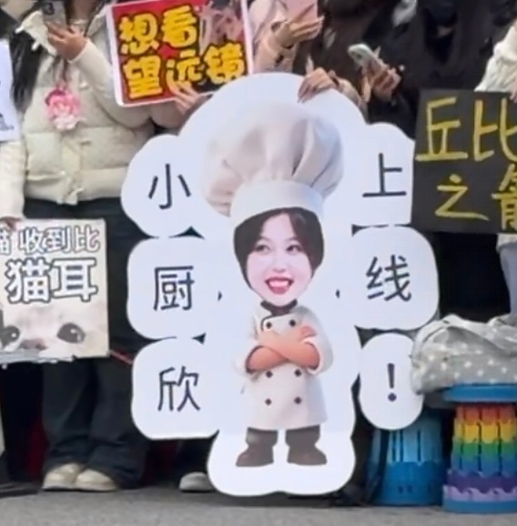 小厨欣可爱哈哈哈哈哈 