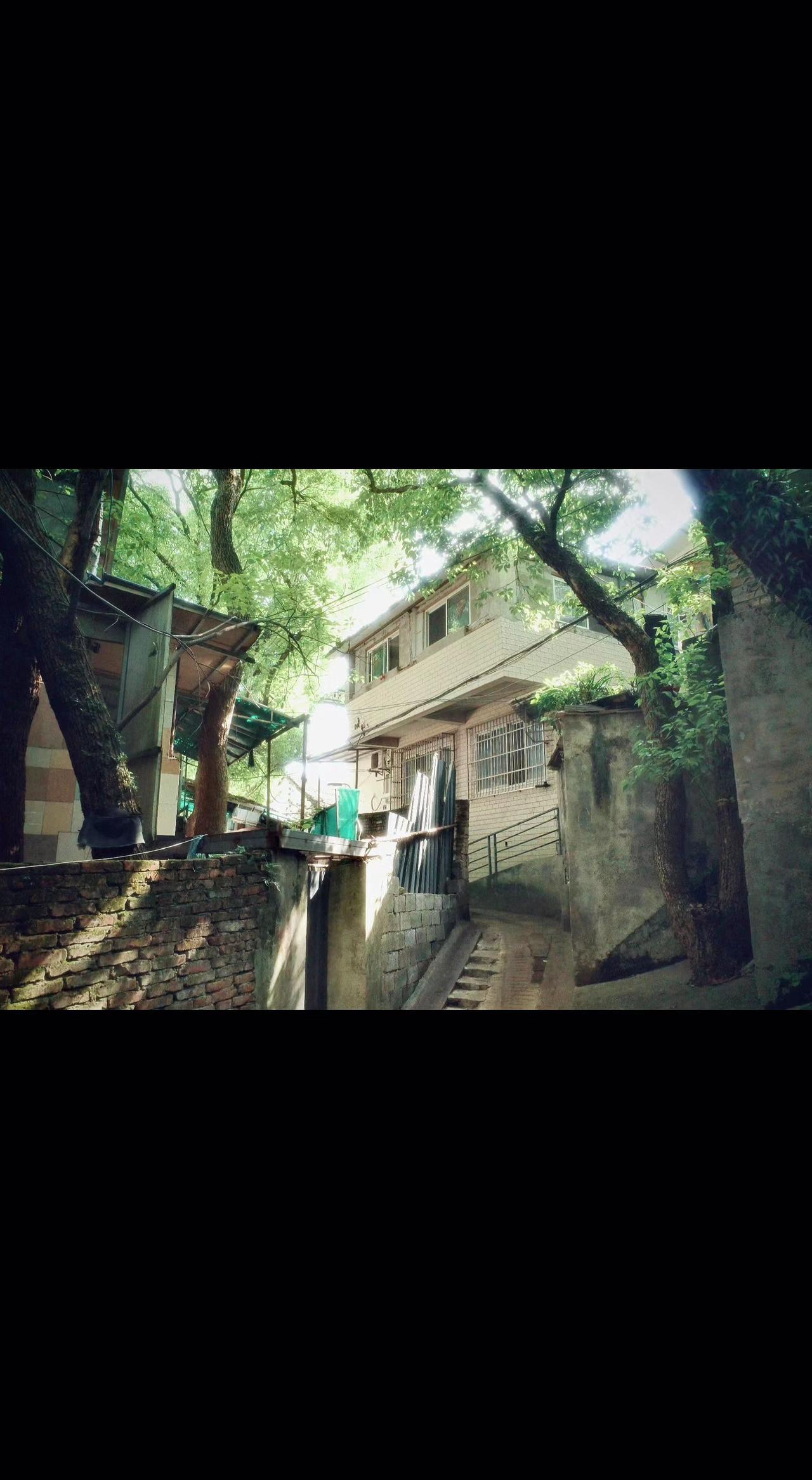 🌿老巷把夏天揉碎了 光影在石阶上跳圆舞曲💃 时光走得慢 故事却在墙缝里疯长