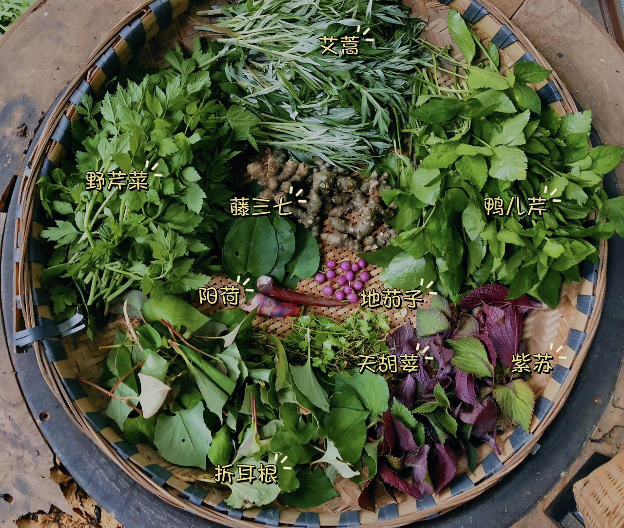 赶上最后一波春天野菜的小尾巴