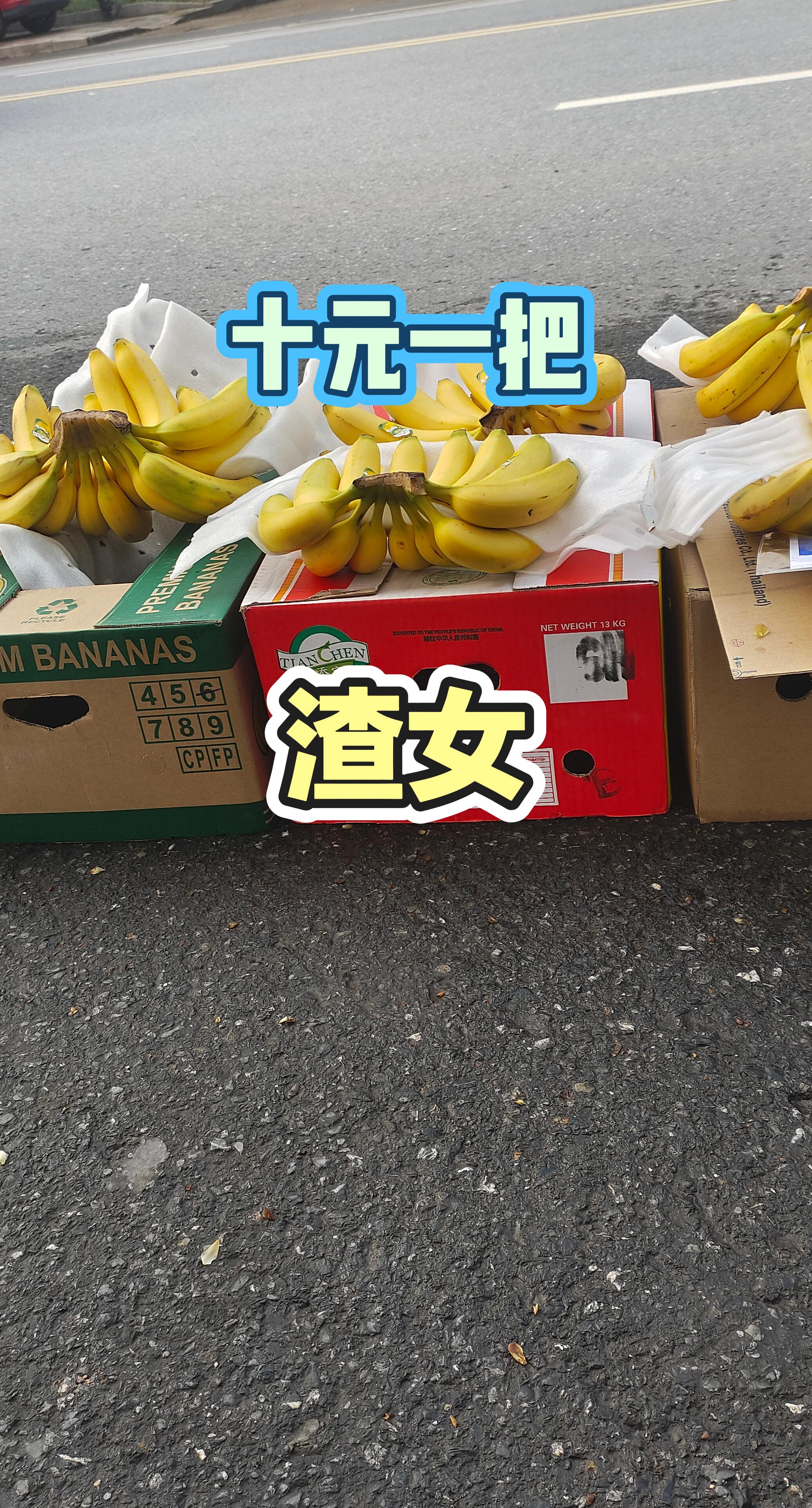 分享有趣的视频