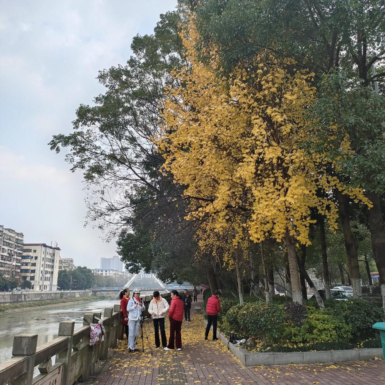 息县“人草大战”为何让9名官员被处理? 

近日，据最新搜索结果显示，河南省信阳