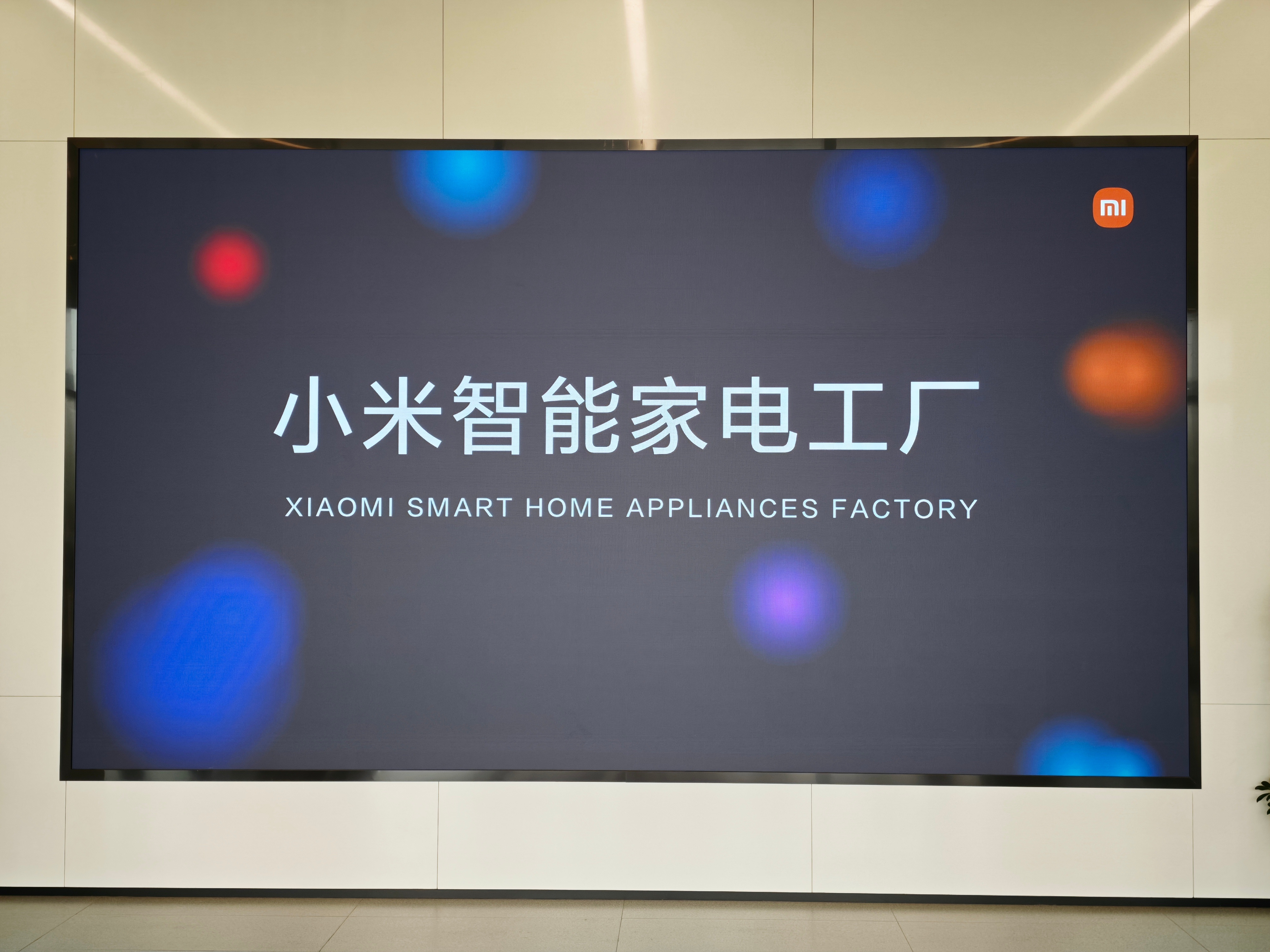 又来了~