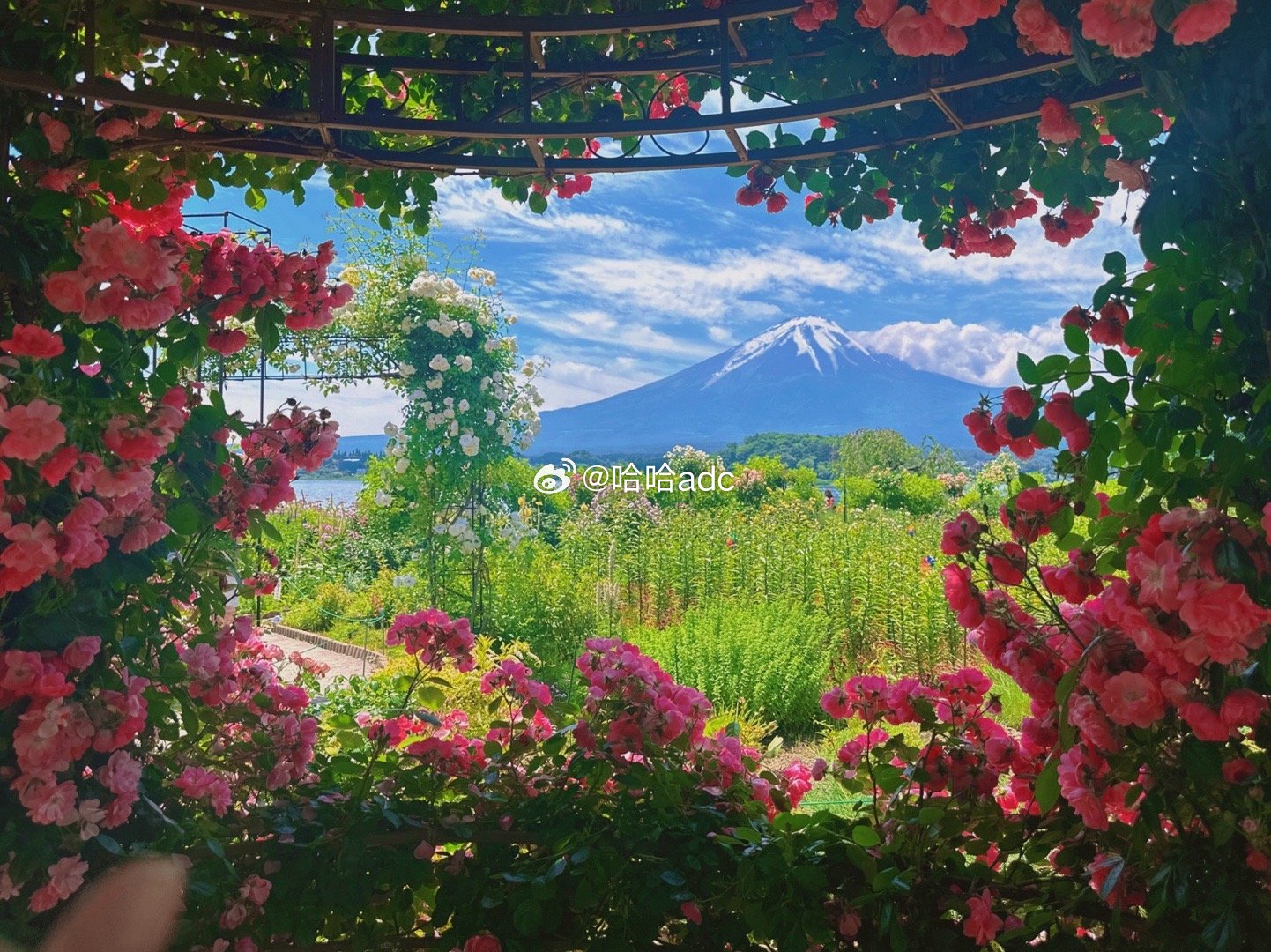 🗻  ​​​