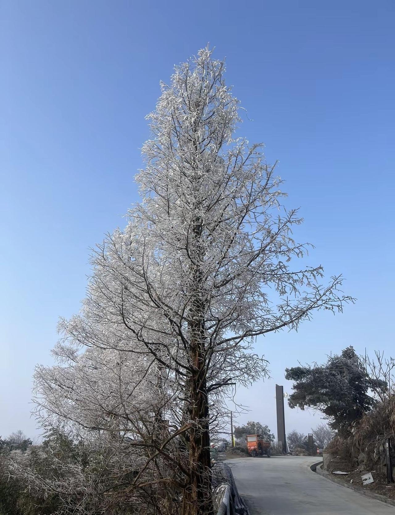 东白山2026年的下雪季来了，约上三五好友一起玩雪吧.