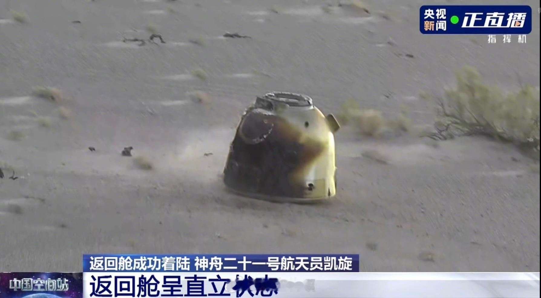 落得可真正啊