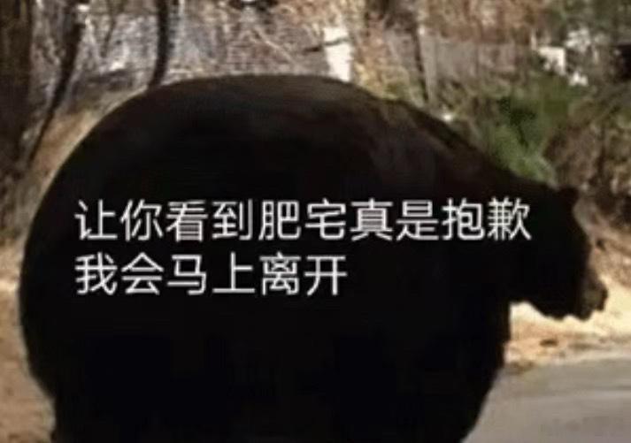 在飞机上坐了两个小时…也不飞也不让走…两点的飞机四点登机现在六点了…我今天能回家