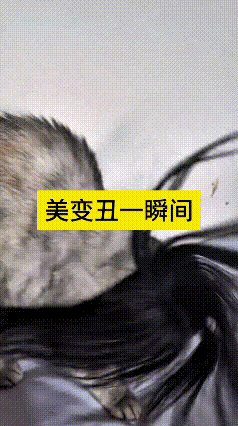老铁你瞅瞅这老搞笑一幕！
主人闲得五脊六兽，把自个儿不用的假发咔咔就扣猫咪脑袋上