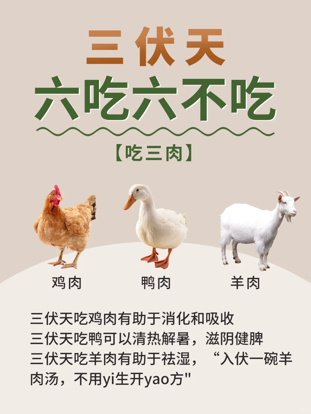 三伏天养生❗️六吃✅六不吃❌