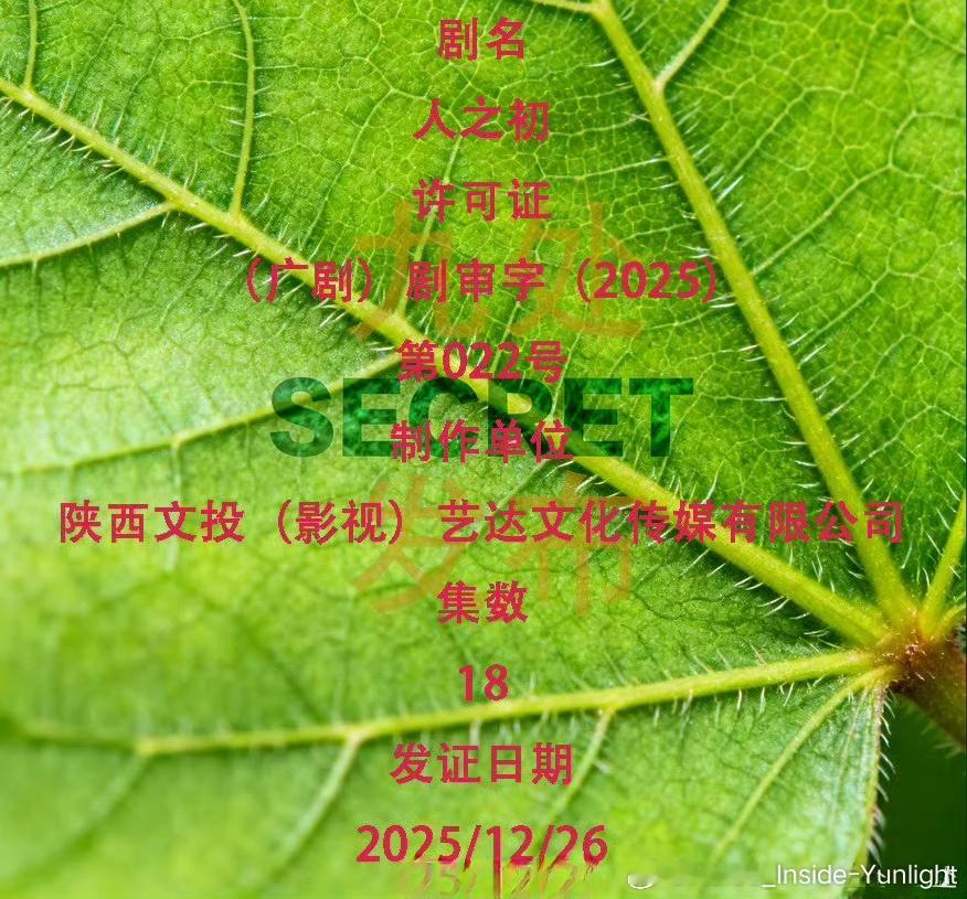 李路导演，张若昀，马思纯，唐嫣等主演的《人之初》过审了这部是腾讯2025最受期待