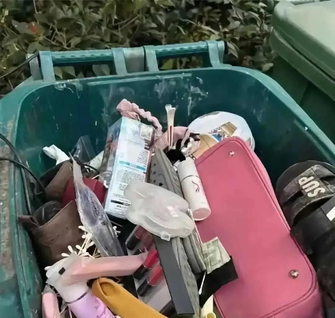 我想看看都有啥
