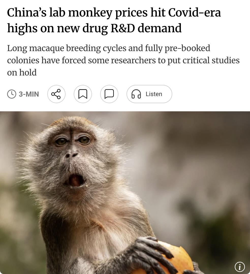 外媒：中国新药研发热潮正在推高实验猴价格，甚至达到疫情时期的高位，导致部分科研项