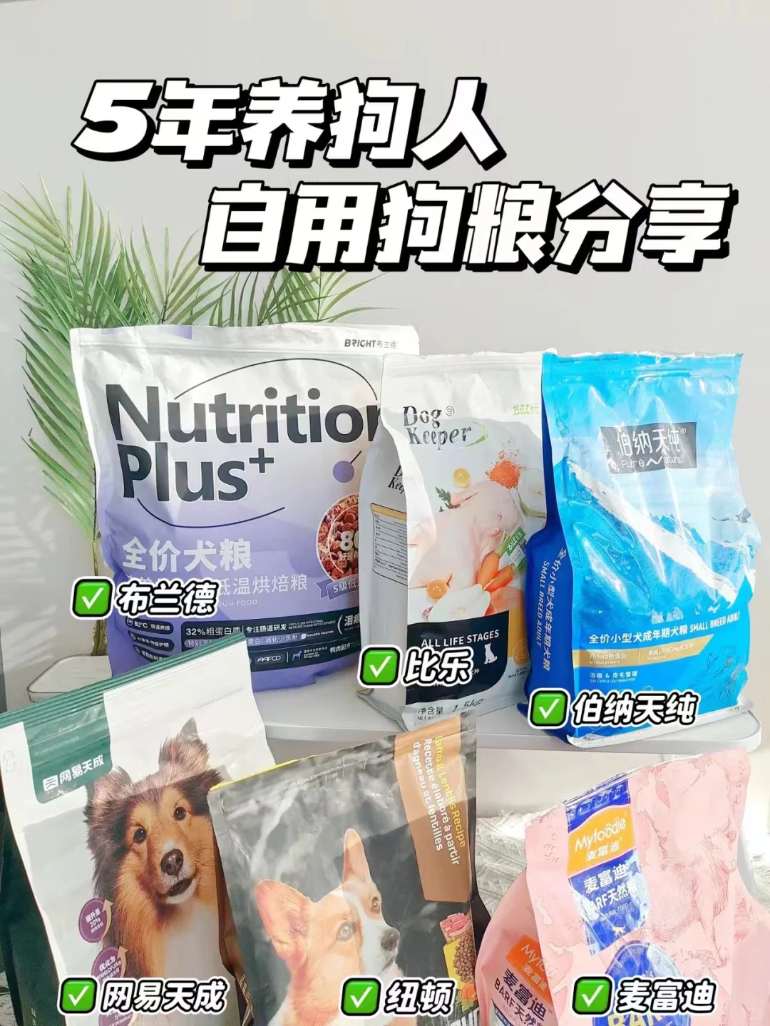 新手养狗|别再乱买粮了！选对才是真的