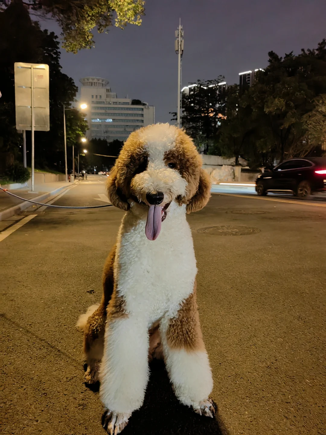 喝啤酒都能体验炒股乐趣耶
