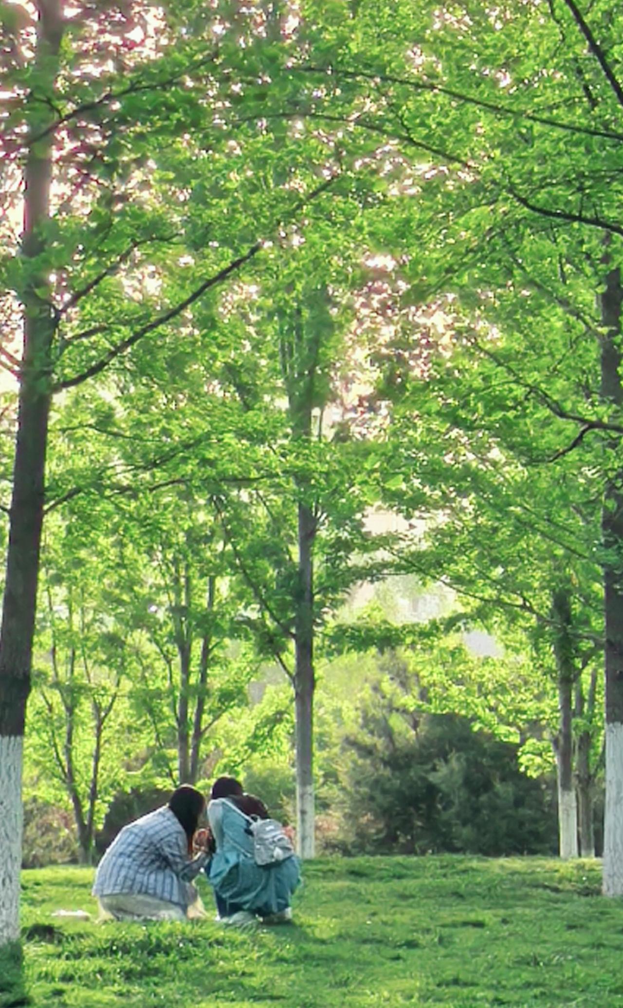 春天最公平——它会把碎金般的阳光，分享给每个愿意树林里愿意蹲下来的人，愿意分享给