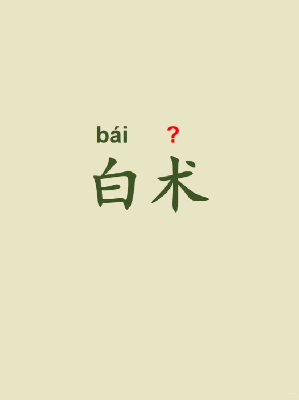 今天来学习——白术