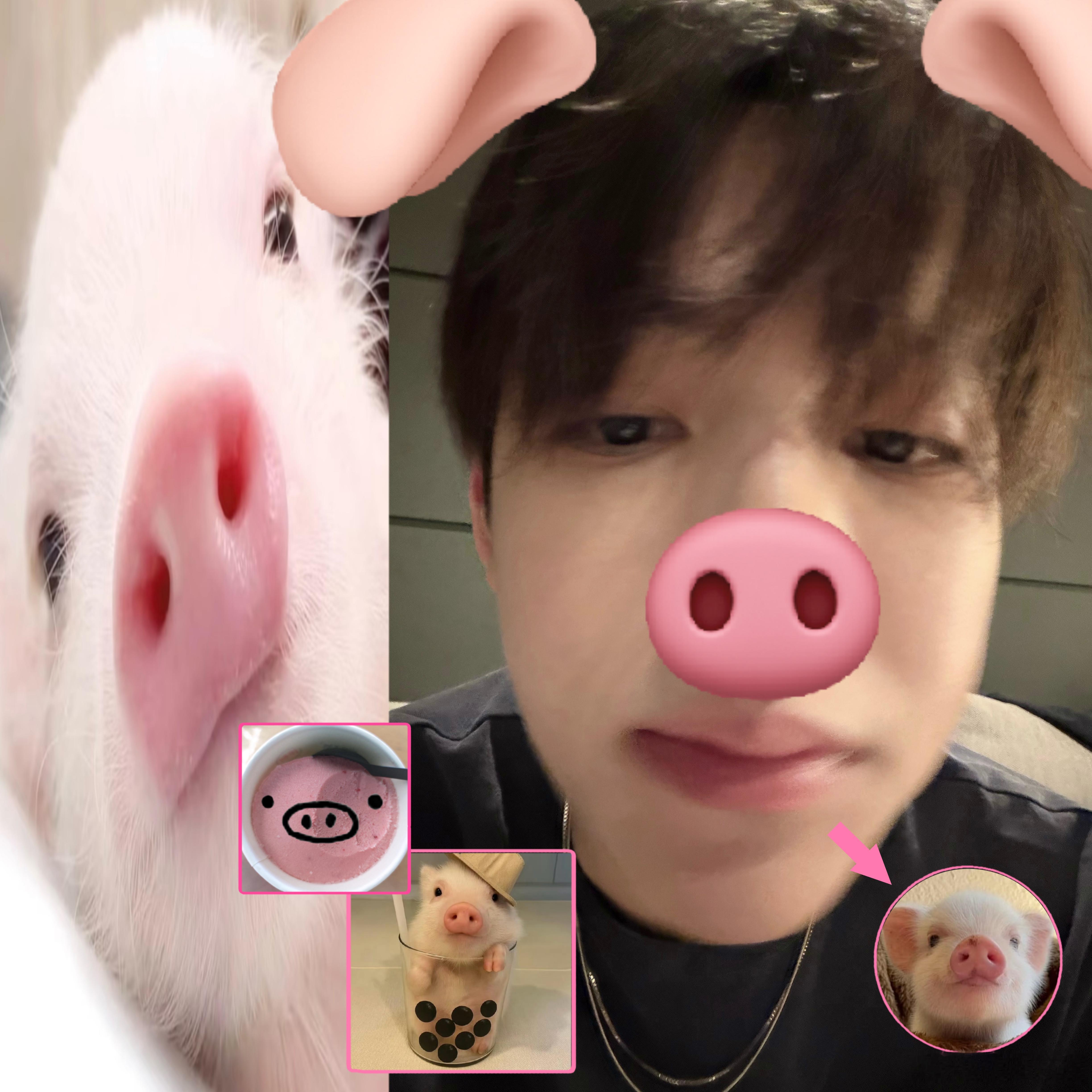 (๑•̀🐽•́๑)✧我猪到了啊！一直吵吵吵！ ​​​