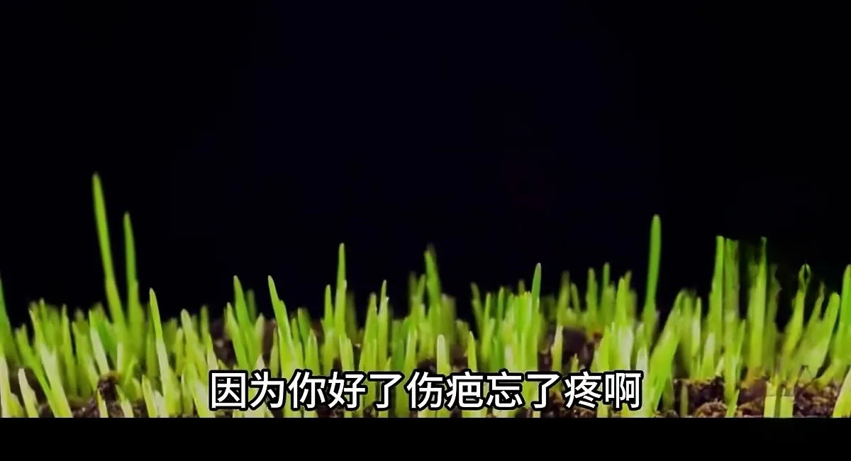 5月14日早评，创业板有两种可能的走法：第一种是先上4000点，再大幅下跌；第二