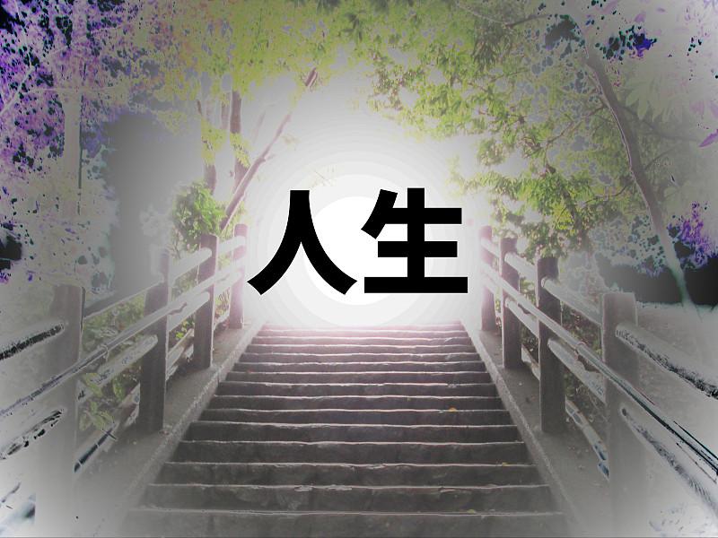 一个65后的半拉子人生
79年初中毕业
81年高中毕业落榜
82年补习
83-8