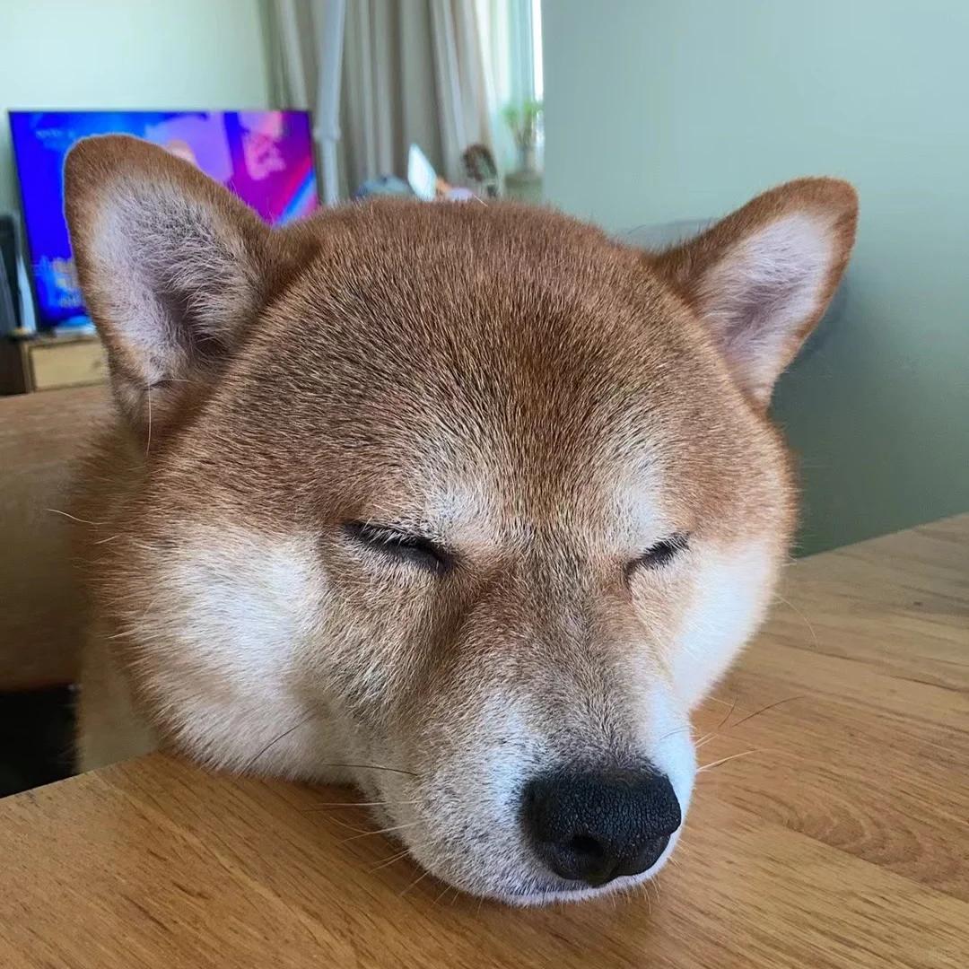 上菜！