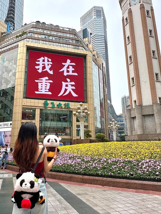 五一重庆旅游❗️个位数把熊猫带回家
