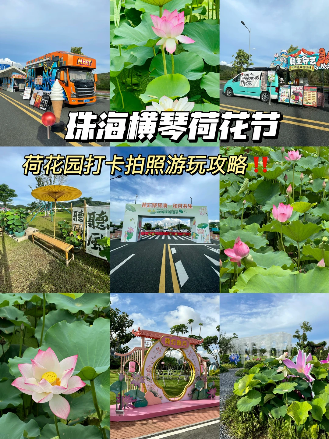 横琴荷花节！🆓免费游玩攻略。。。。