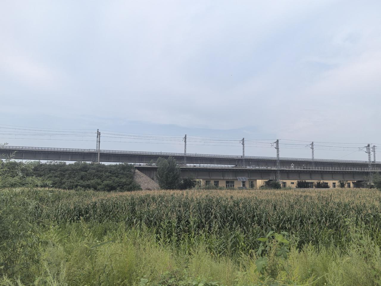 许久未曾凝望田野上飞驰的火车，今日得闲，得以近距离观摩铁路，往昔幼年的回忆，便如