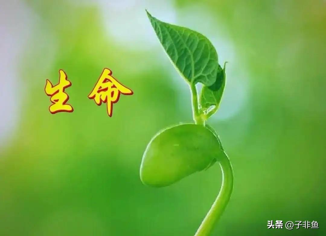 也许是家里没有高考、中考的孩子，在这之前我真的不知道张雪峰这个人，我现搜了一下才