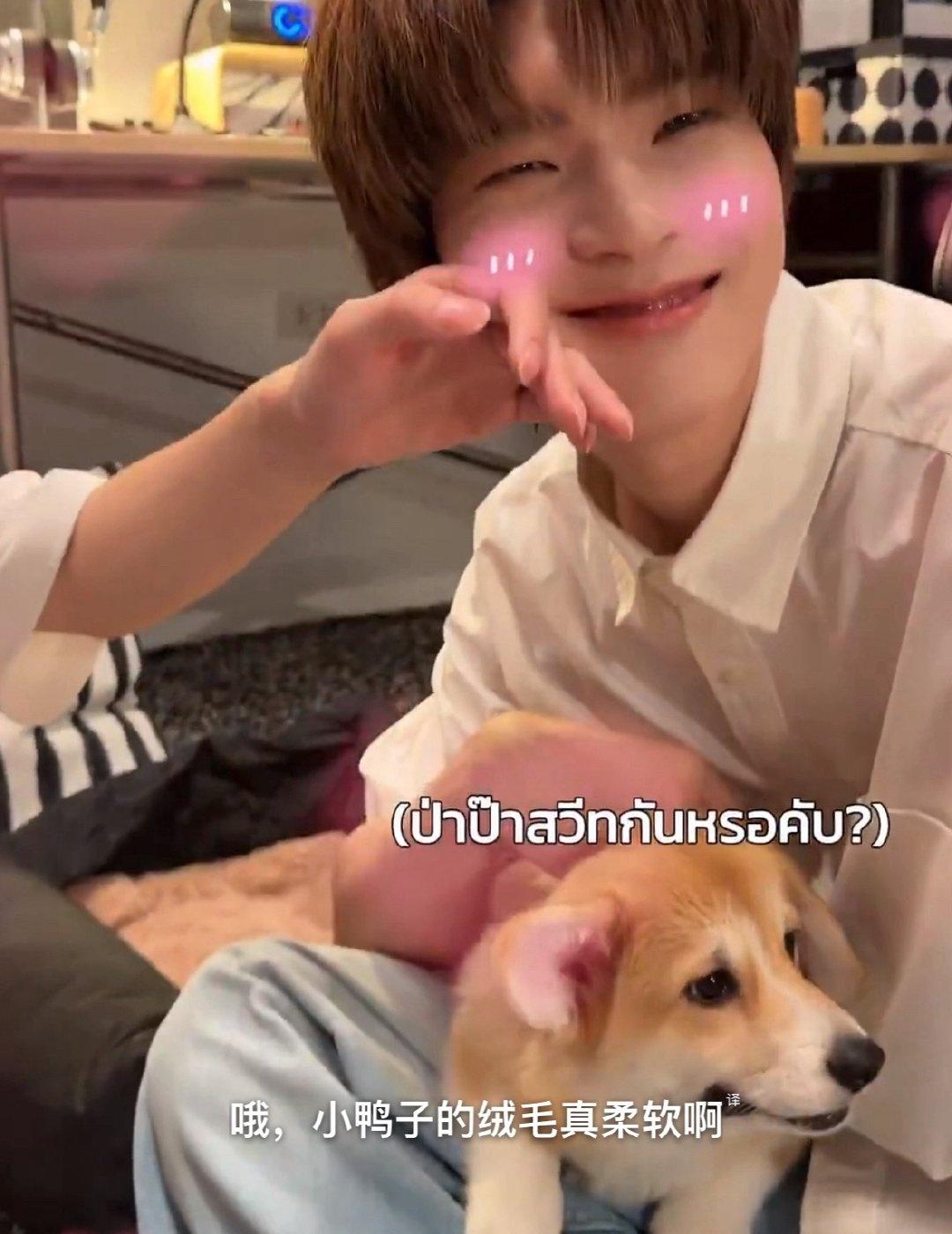 teeteepor[超话]诶诶诶 这个陈艺迪在做什么呢！！[我想静静] ​​​