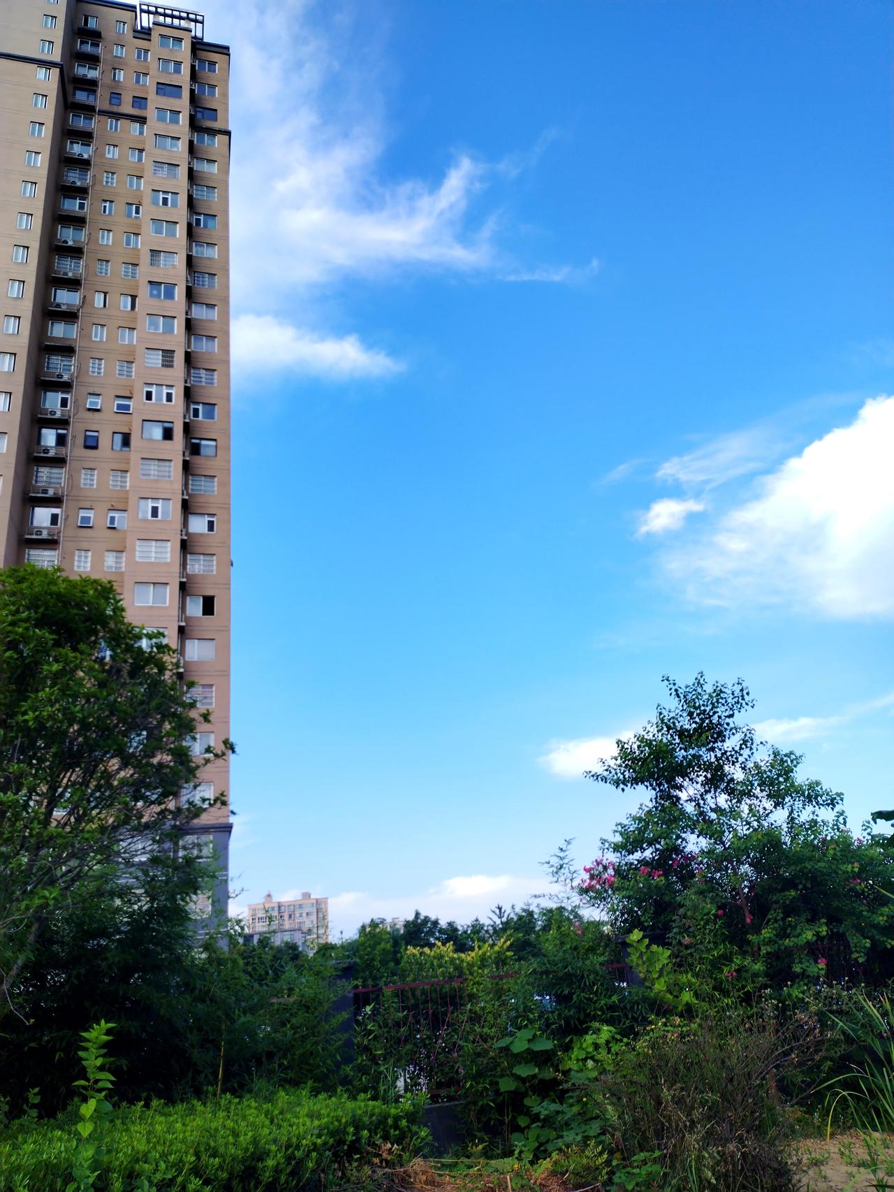 早晨去公园散步，看到这蓝天白云朵朵，拿起手机，随手拍下天空美景。