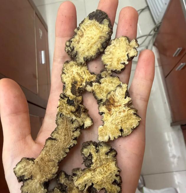 石菖蒲加1味，全身痰瘀堵窍都害怕，耳鸣脑鸣都能用
大家好，我是陈玉龙教授！耳鸣脑