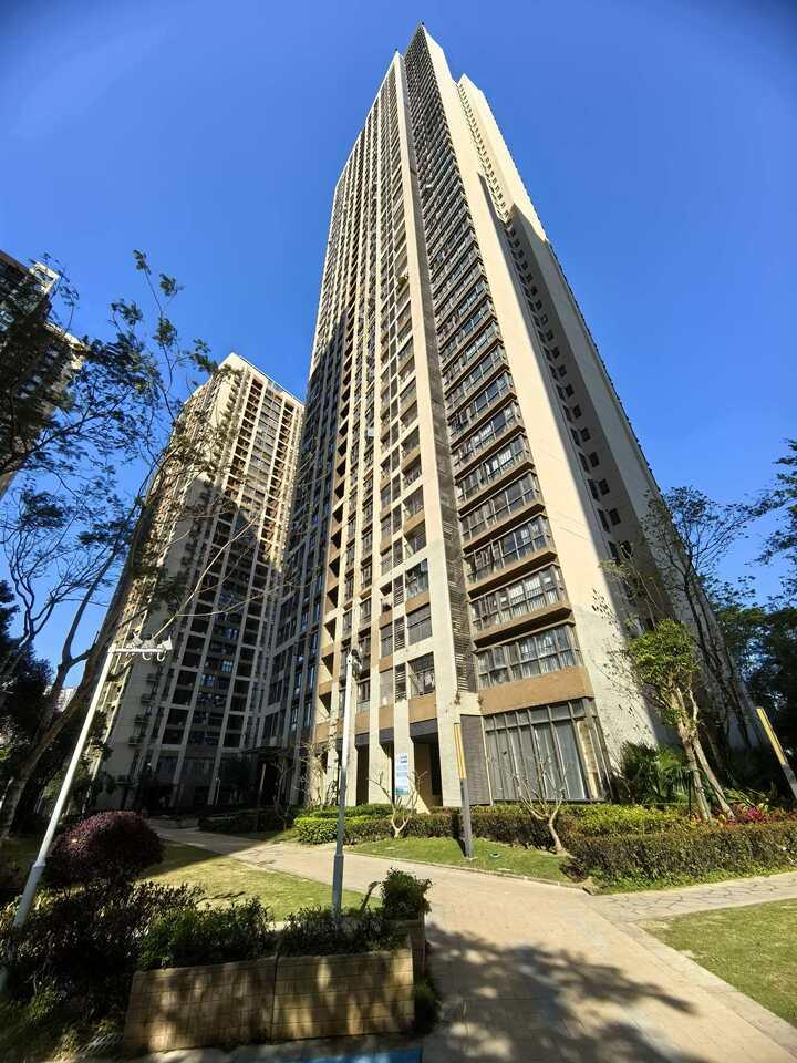 龙岗资产配置看过来，公园里大户型公寓性价比优选[奋斗]
龙岗南湾片区，依托樟树布