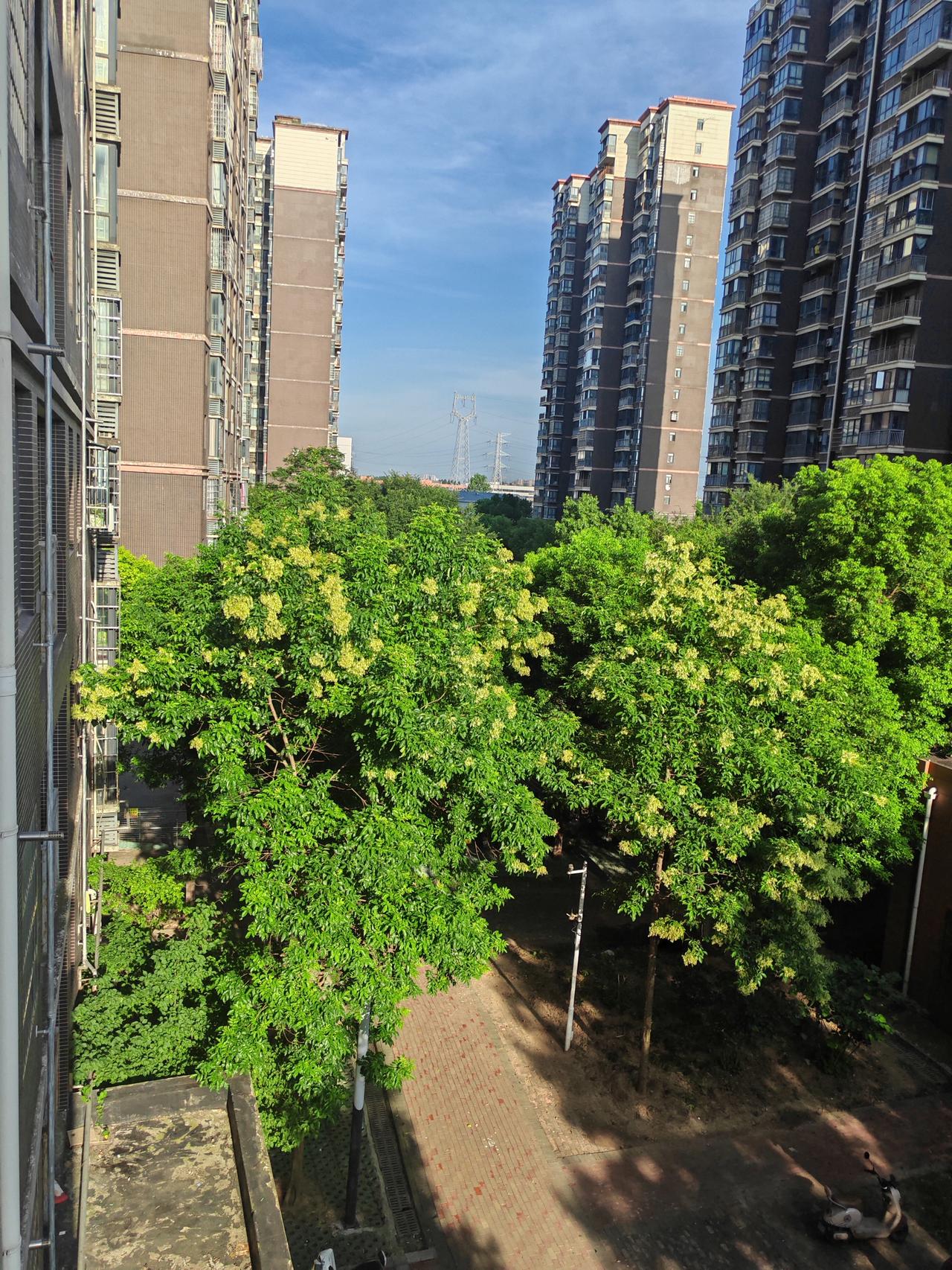 7月15日，今日入伏，夏季最热天来临，今天最高气温36度，最低气温28度，高温橙