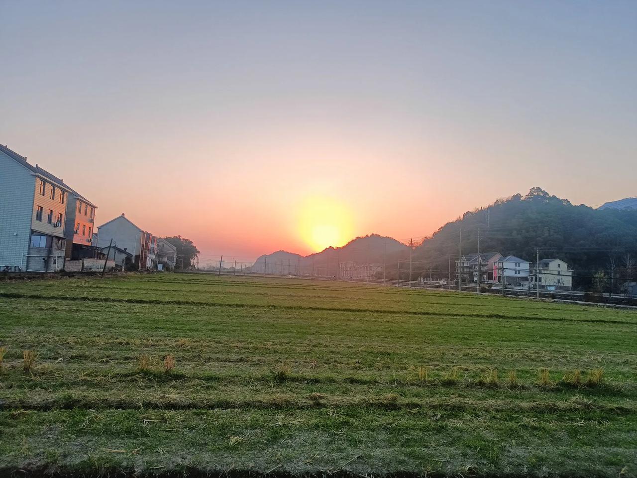 春日生活打卡季