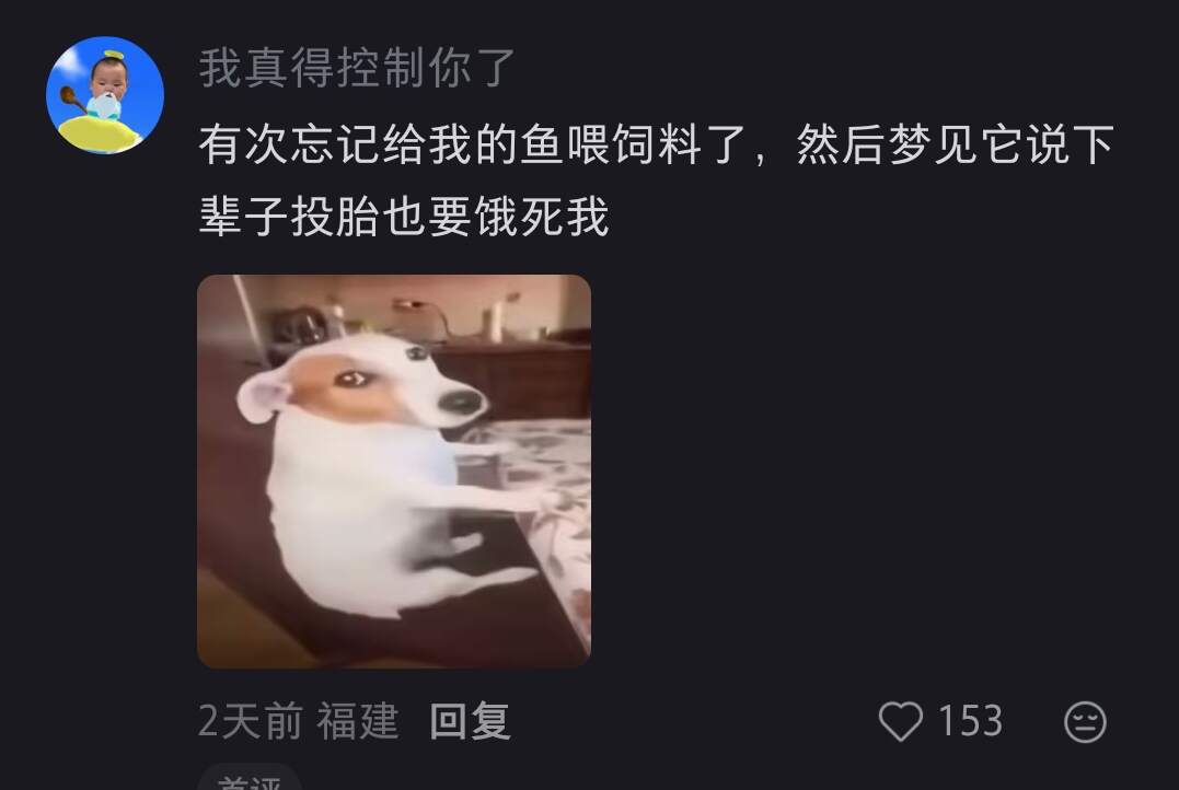 虽然小动物不会说人语，但是会托梦呀 好神奇啊 