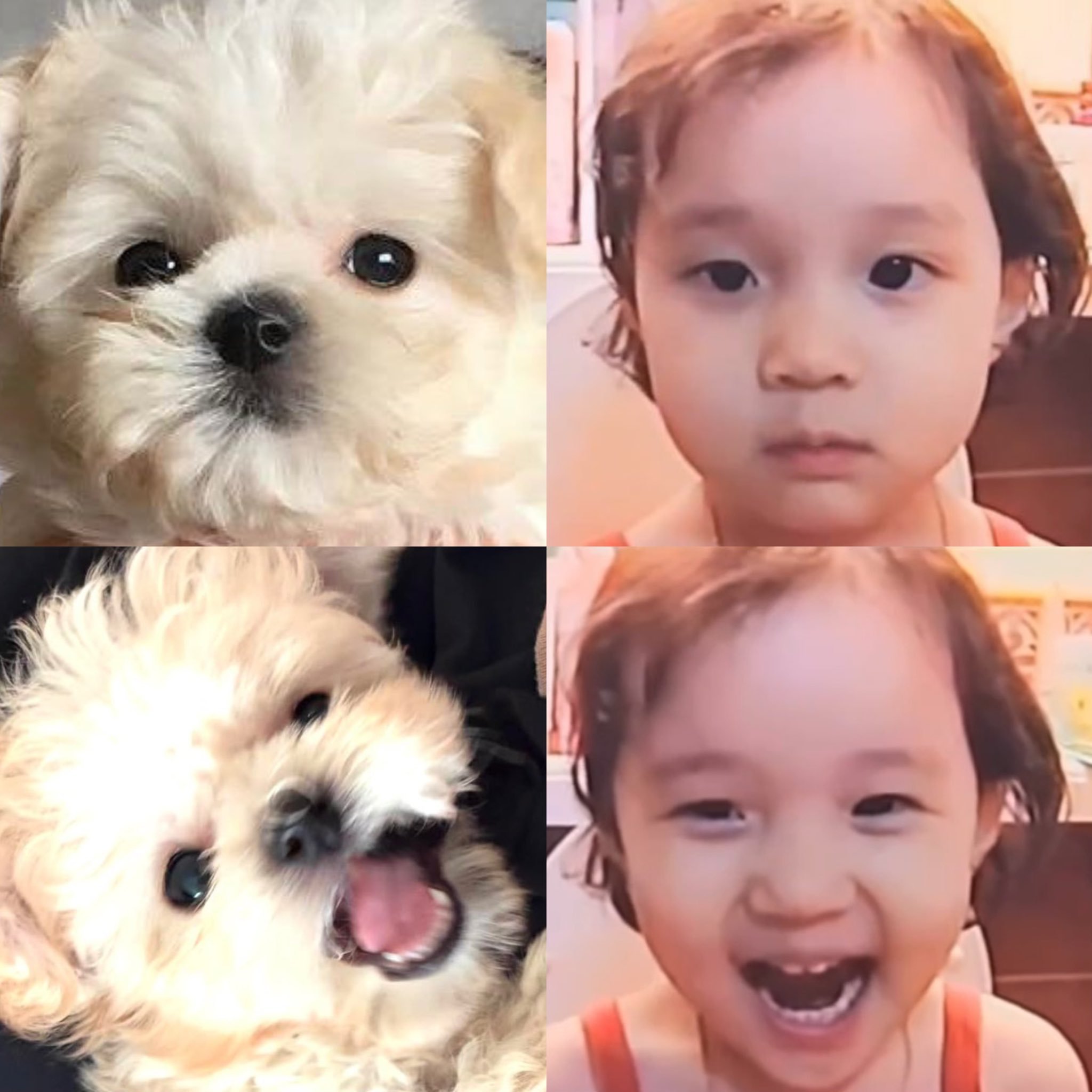 给波妞看看金旼炡的童年照 波妞都分不清谁是谁 