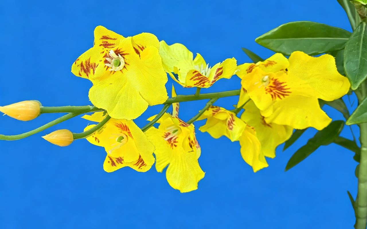 明亮的黄色花朵，绽放出春天的气息！🌸🌞