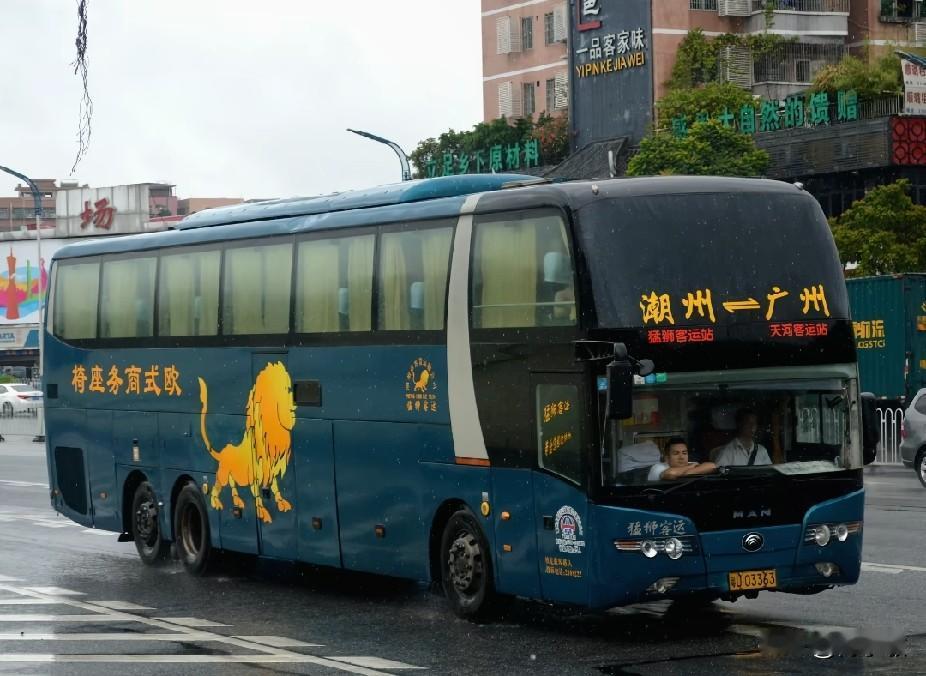 经典客运品牌—潮州猛狮
       扎根潮州二十余年的猛狮客运，是无数在外潮人