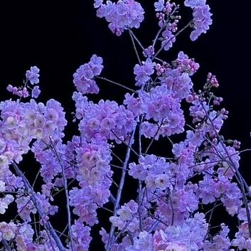 每日一善‎每日一善 ‎阳光‎信用 人生最珍贵的六种财富：一是洋溢在容颜上的自信，