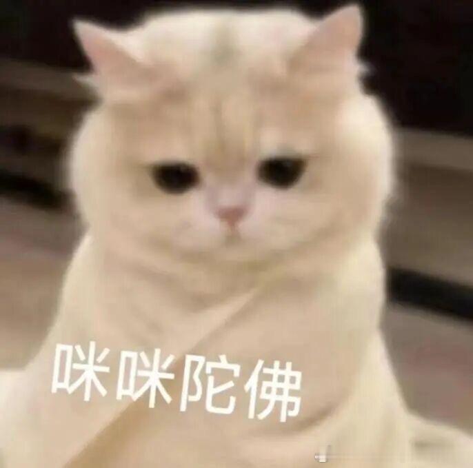晚上好～你大乱斗时最喜欢的英雄是？大电竞分享