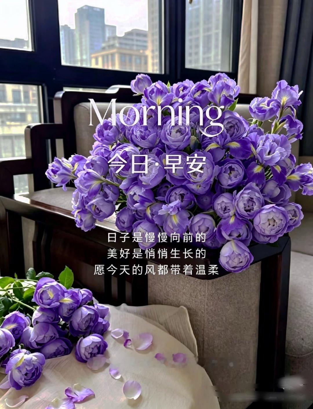 🥦🍤²º²⁶/₀₆.₀₂ ღº ✐ ᴹᴼᴿᴺᴵᴺᴳꔛ🪴生活很匆忙，别错过了