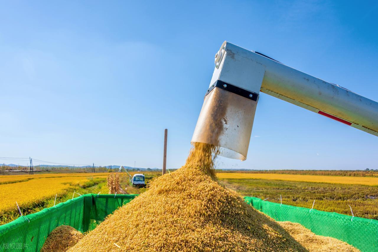 最近有没有刷到“全球粮价要暴涨”“肉价保不住了”这种消息？

说实话，我第一眼看