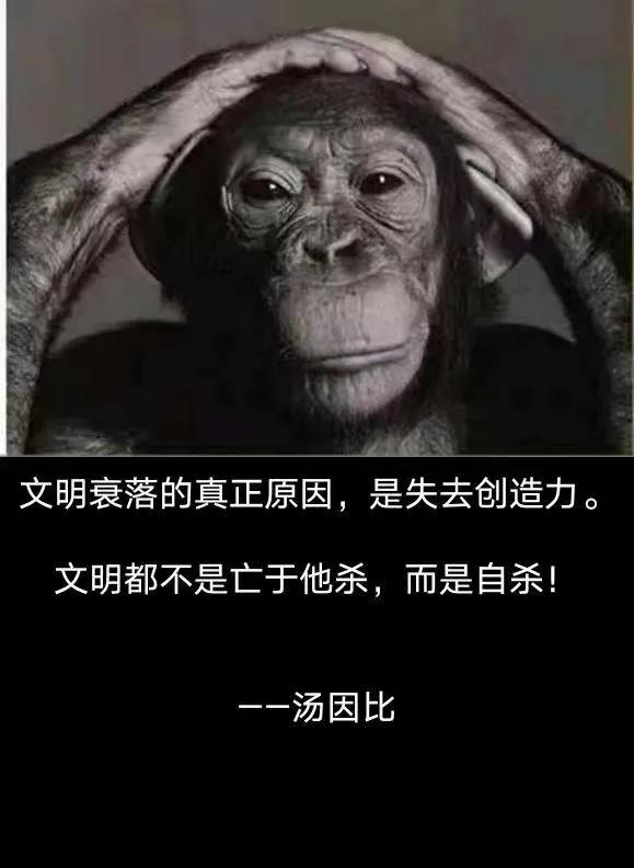 文明衰落的真正原因，是失去创造力。文明都不是亡于他杀，而是自杀！
一-汤因比