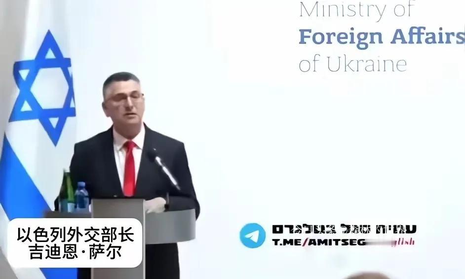 以色列外交部长吉迪恩·萨尔跑去基辅，和乌克兰外交部长安德烈·瑟比加来了场会晤。本