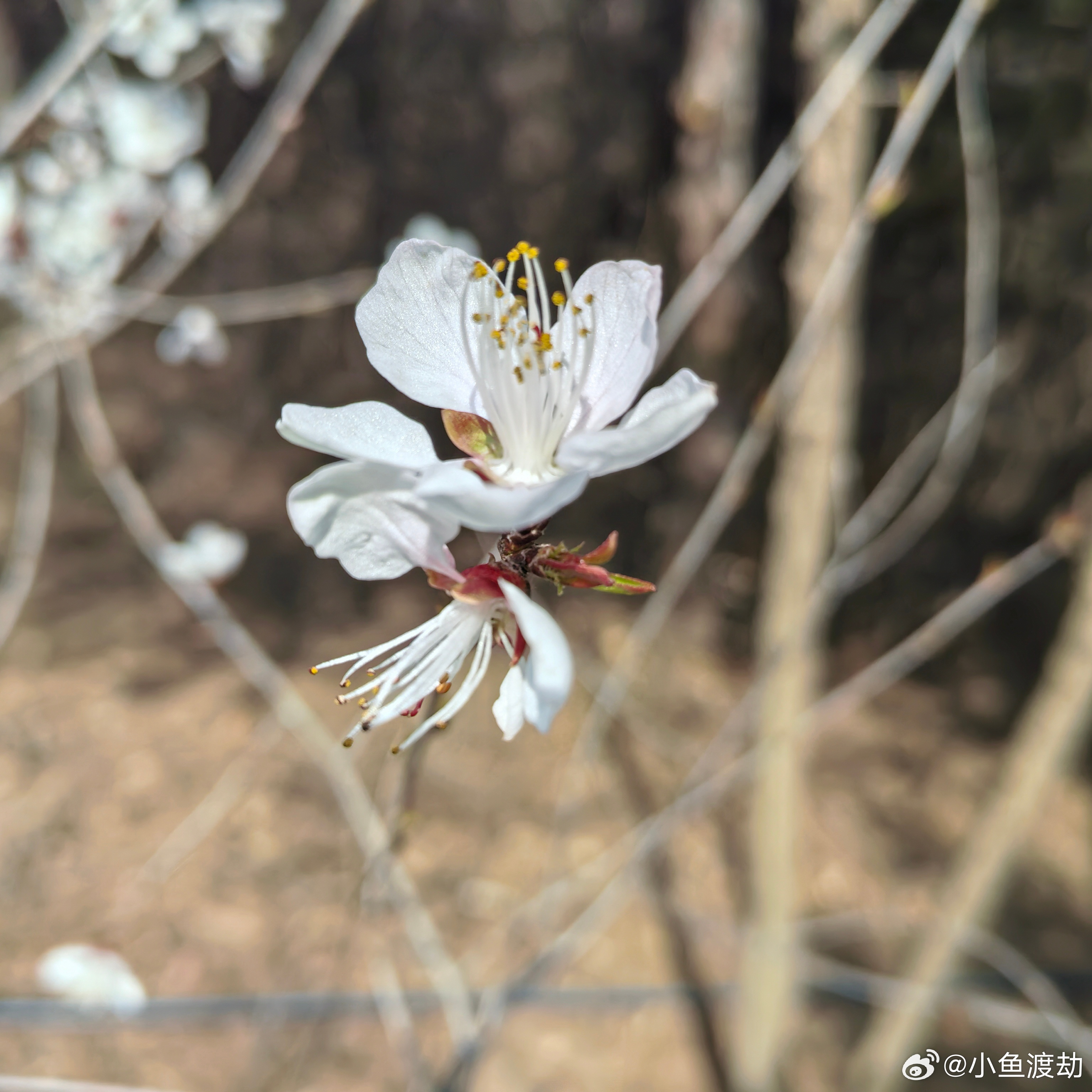 关于“没事”的含义当一个人开始频繁地说“没事”、“我很好”、“算了”的时候，心里
