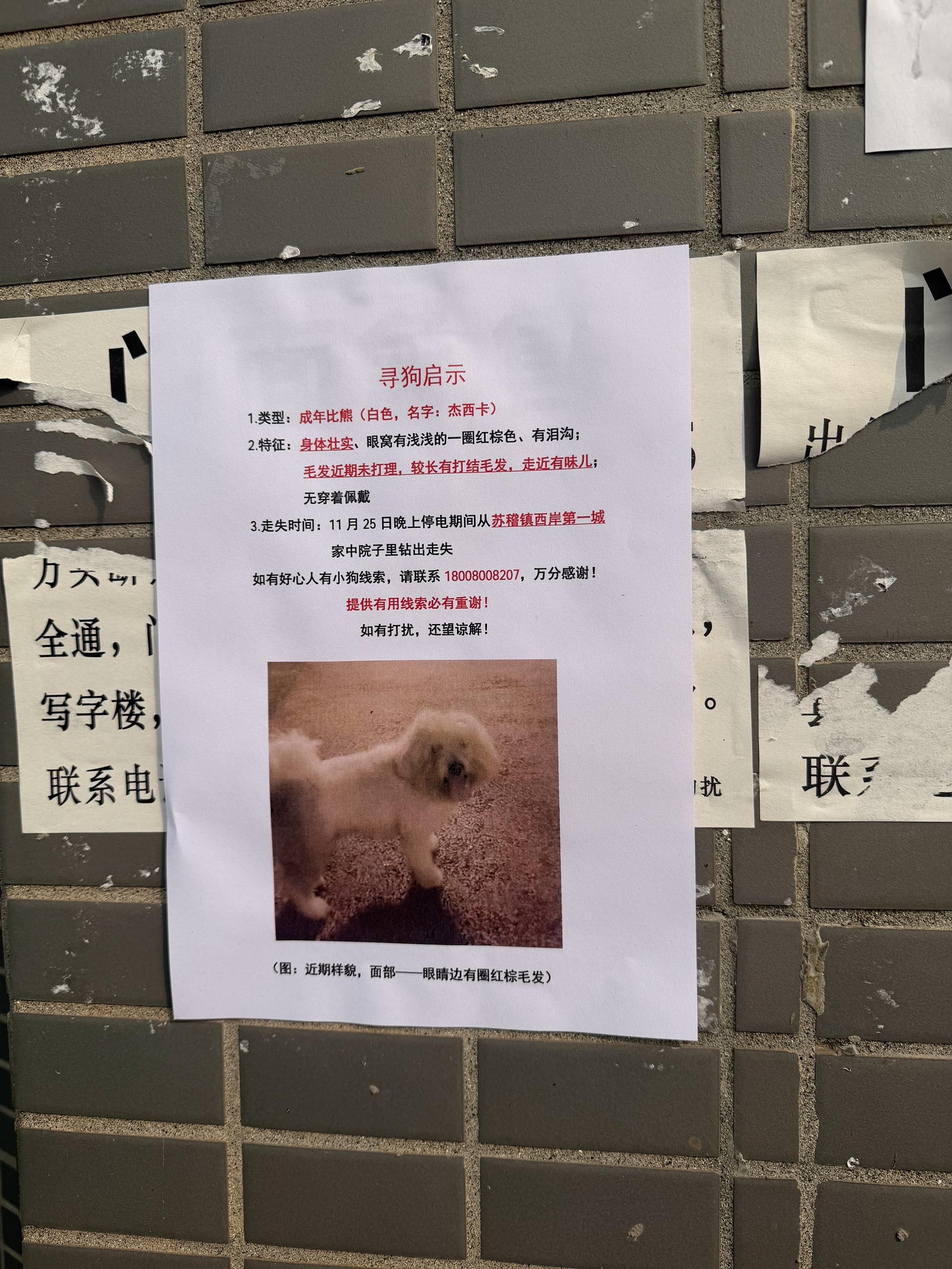 麻烦乐山的朋友帮忙留意一下，有没有看过这个狗狗，在徐浩大桥附近，有没有...